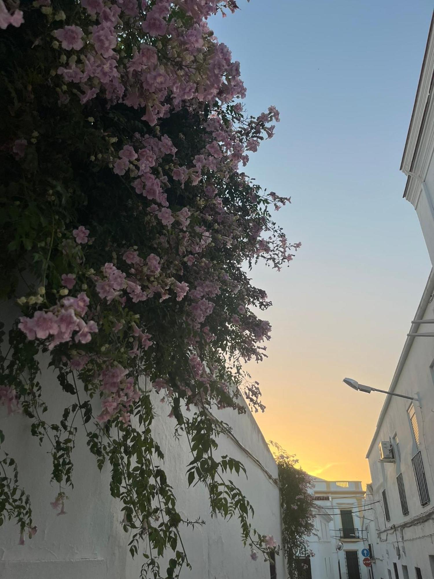 La Abuela By Casa De Rosita At-Ba-00215 Διαμέρισμα Fuente del Maestre Εξωτερικό φωτογραφία
